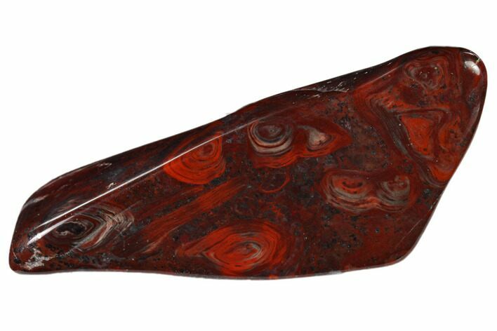 Polished Stromatolite (Collenia) - Minnesota #136924
